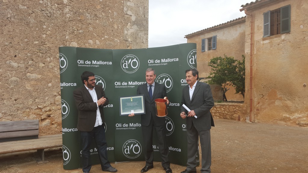 Tafoner Major Oli de Mallorca 2015-2016