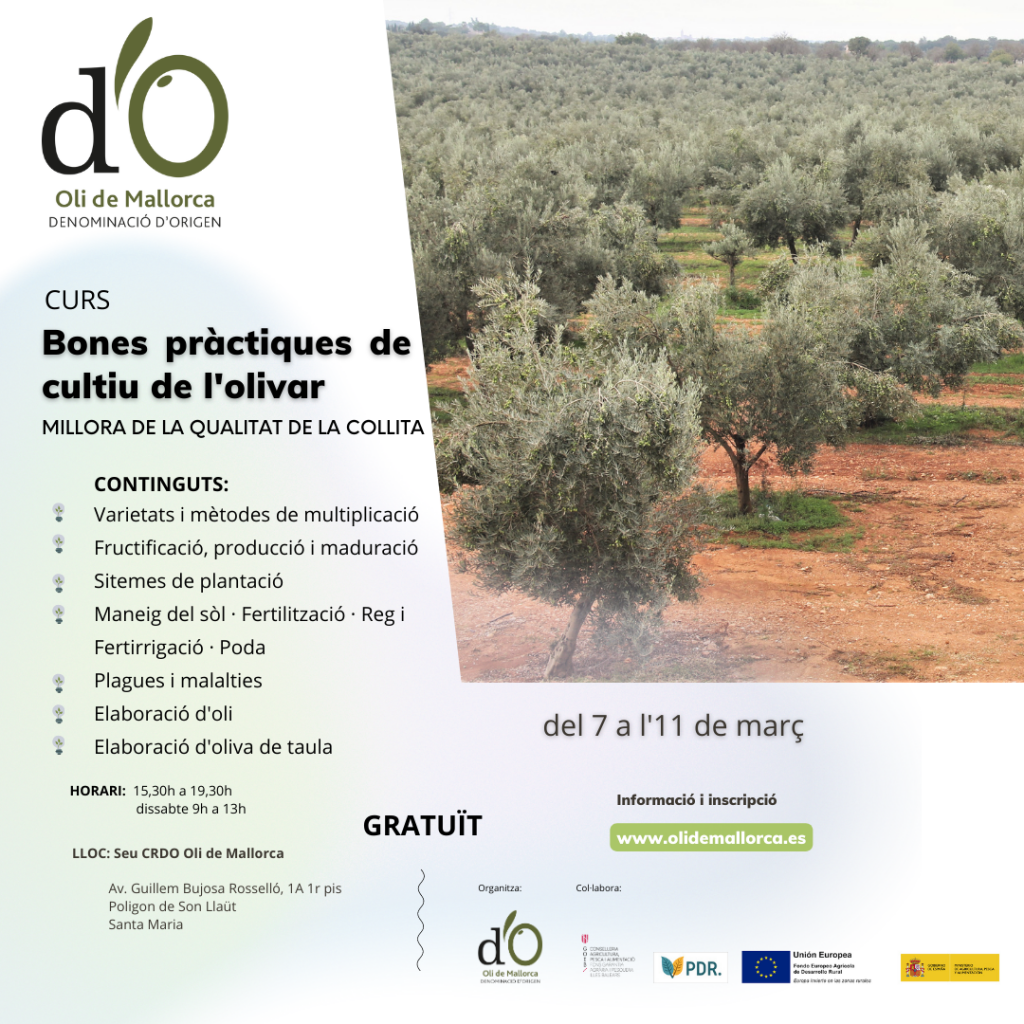 Curs bones pràctiques de cultiu de l'olivar 